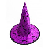 HL-H67-Purple Witch Hat