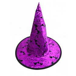 HL-H67-Purple Witch Hat