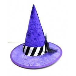 HL-H17-Purple Witch Hat