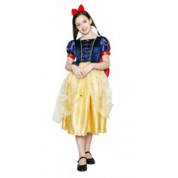 HL-J015- Snow White Princess Costume