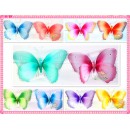 RS23700-20" PAINT BUTTERFLY DECO